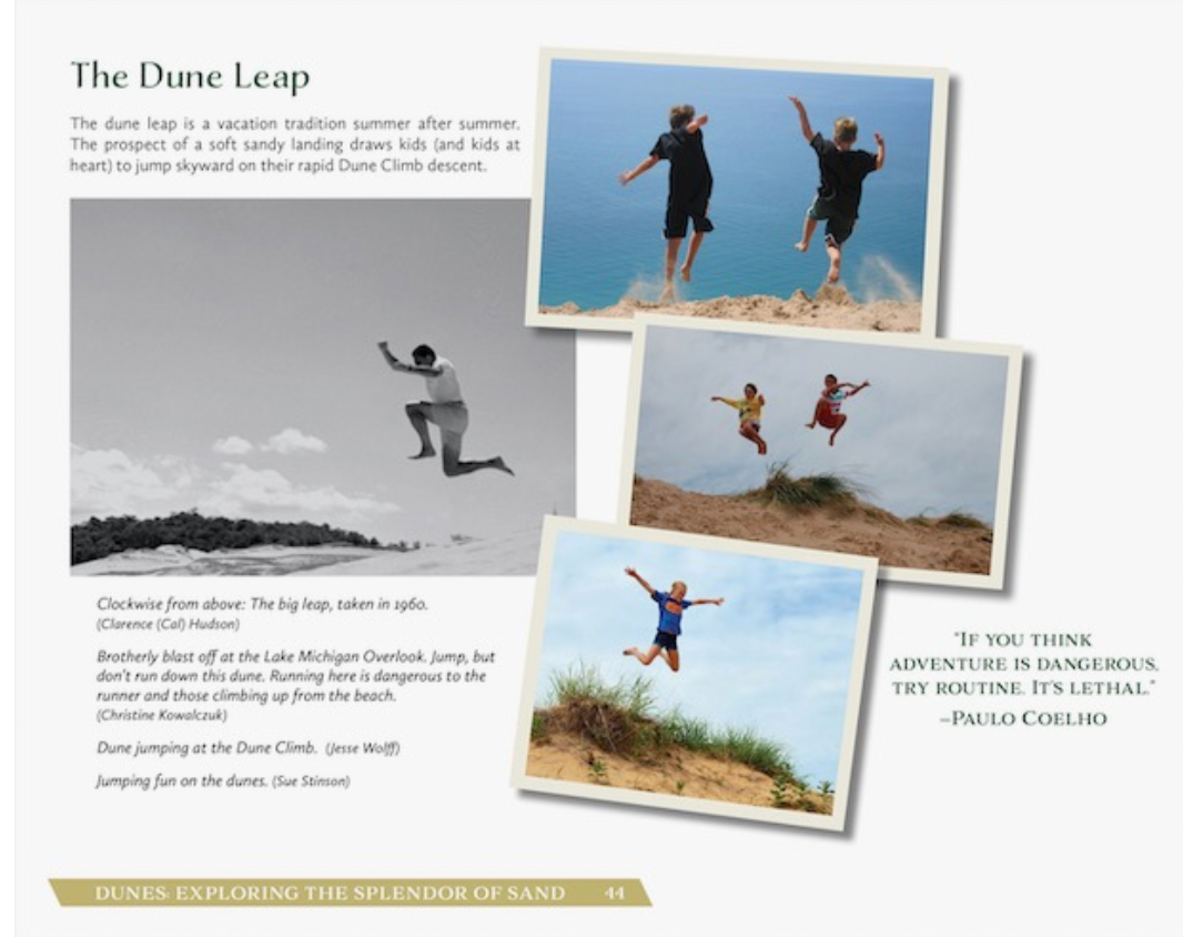 Picture Perfect Sleeping Bear