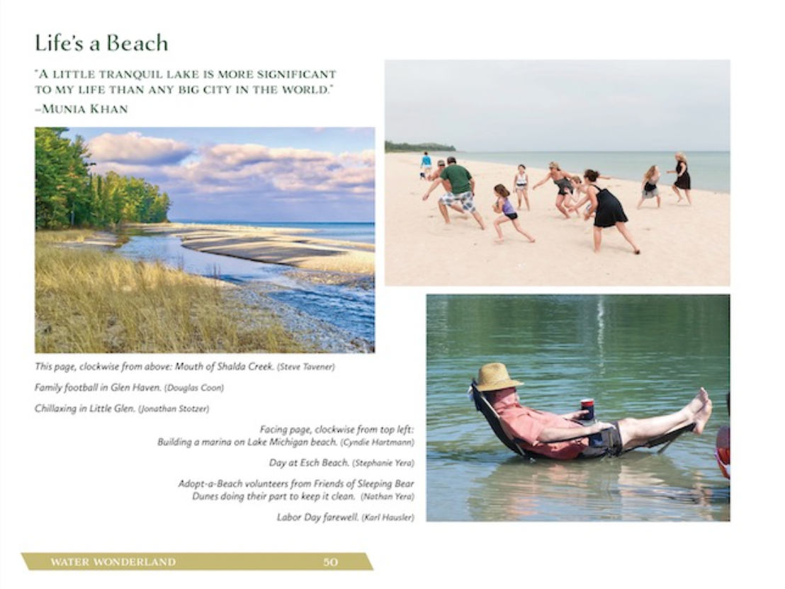 Picture Perfect Sleeping Bear