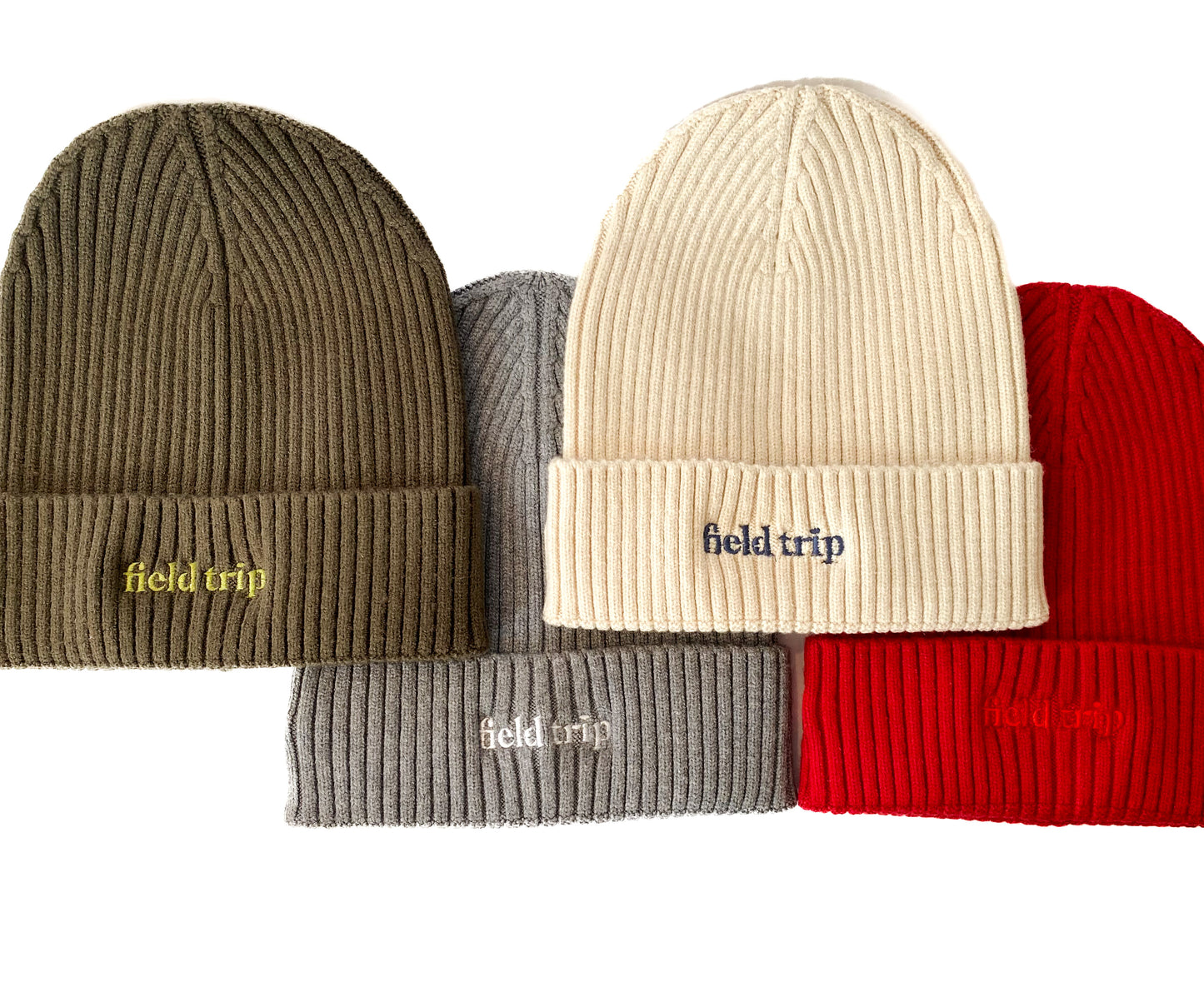 Field Trip Cuffed Winter Beanie