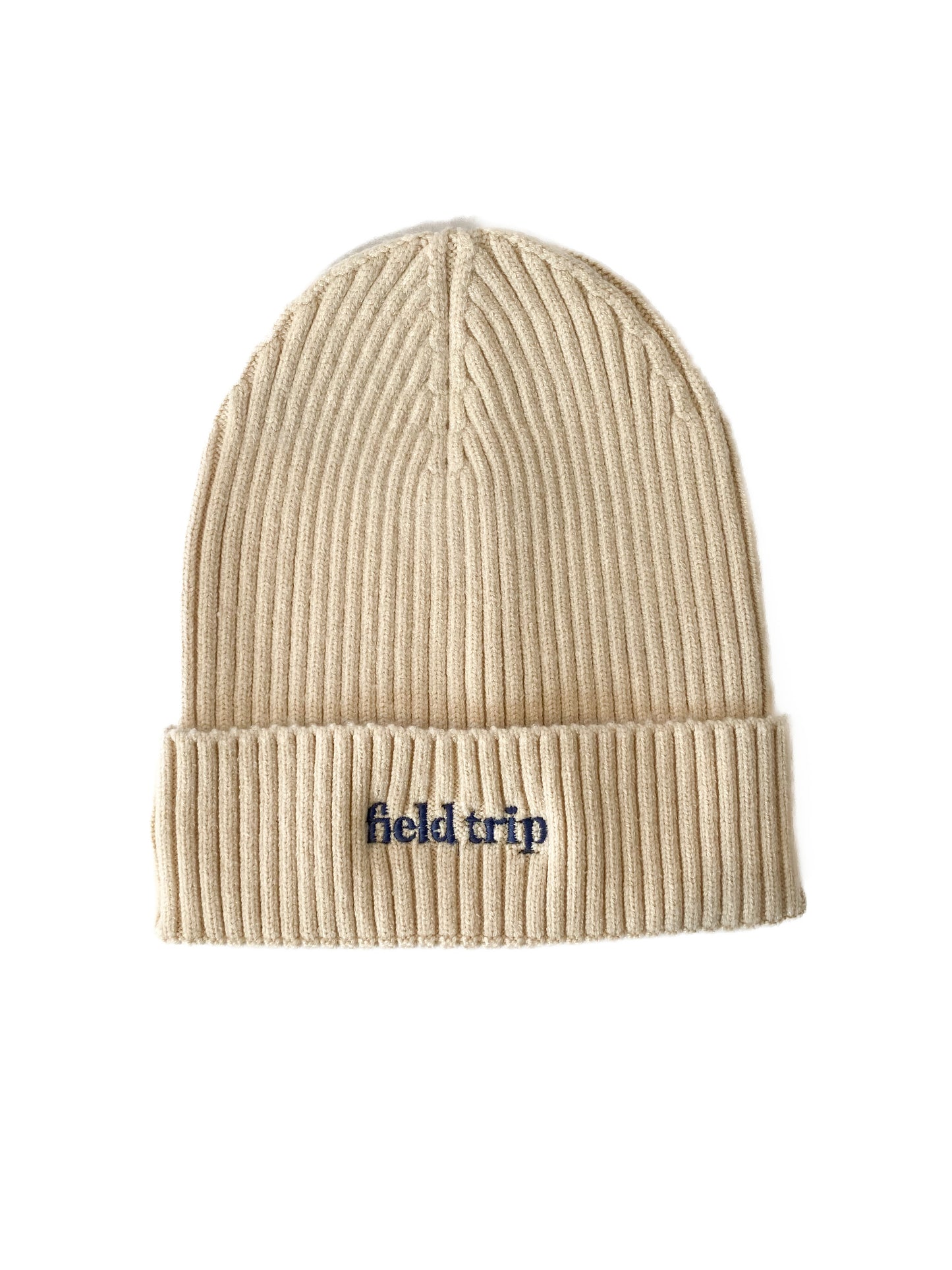 Field Trip Cuffed Winter Beanie