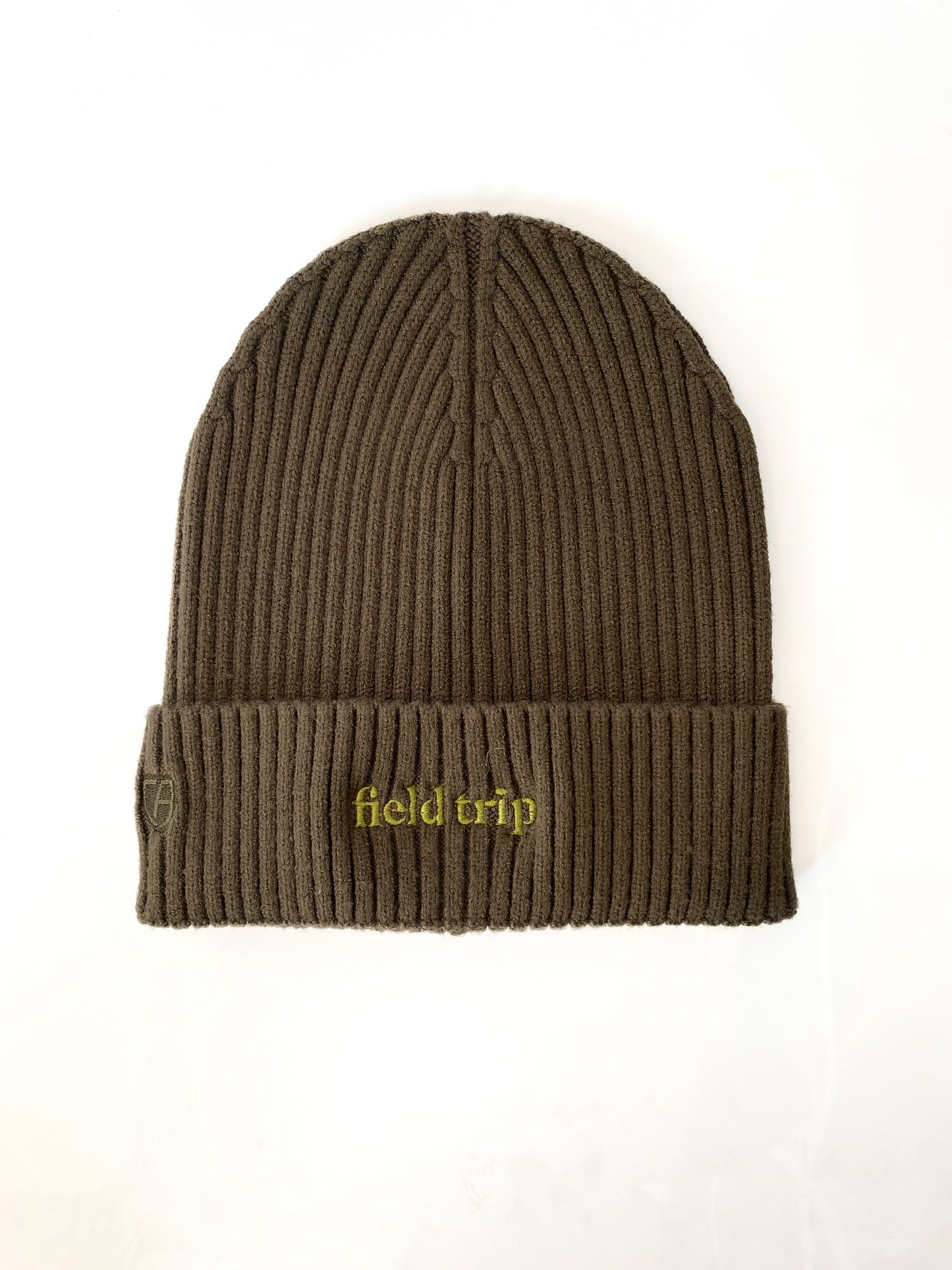 Field Trip Cuffed Winter Beanie