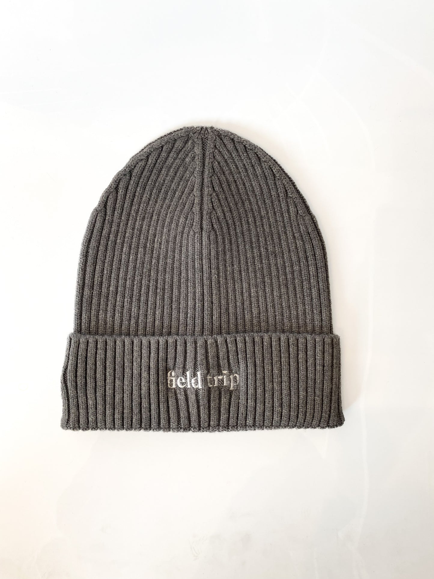 Field Trip Cuffed Winter Beanie