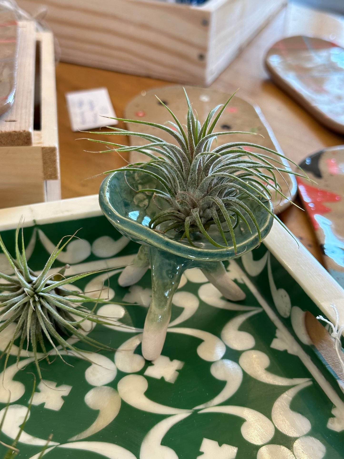 Wabi Sabi Air Plant Stands