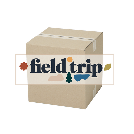 Field Trip Mystery Box